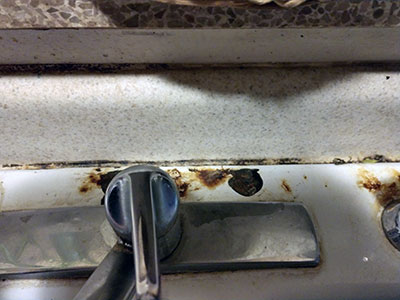 rot around kitchen sink