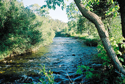Pecos River near Pecos NM