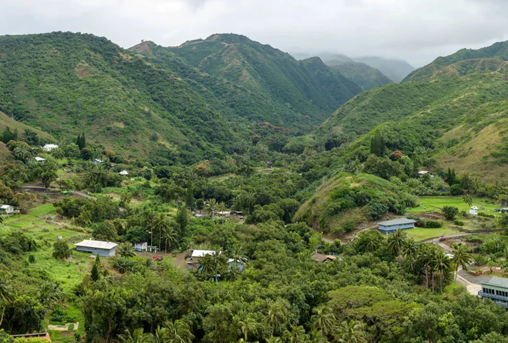 Lush green valley with mountains and trees.