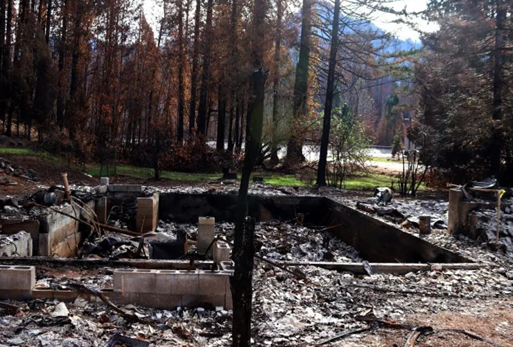 Forest fire aftermath with burnt building ruins.