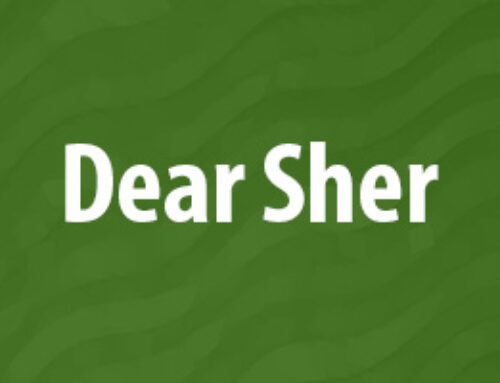 Dear Sher March 2025