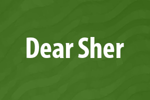 Text Dear Sher on a green background