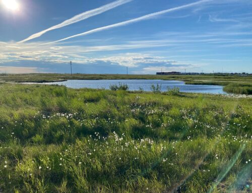 The City of Hooper Bay
